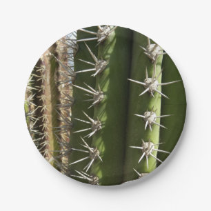 Assiettes En Carton Barrel Cactus II Désert Nature Photo