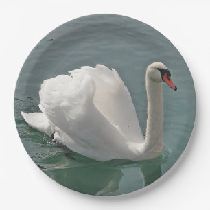Assiettes En Carton Beau cygne blanc
