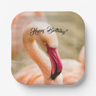 Assiettes En Carton Beau Flamant rose rose Anniversaire