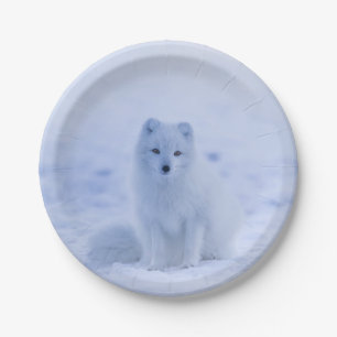 Assiettes En Carton Beau renard arctique