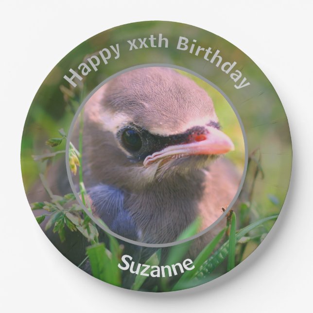 Assiettes En Carton Bébé cirage Oiseau Personnalisé fête d'anniversair (Devant)