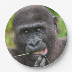 Assiettes En Carton Bébé Gorilla Cuteness