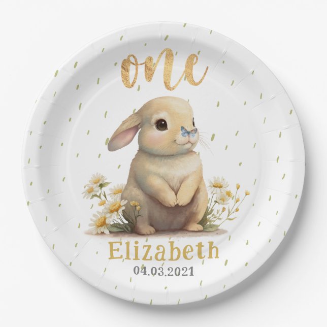 Assiettes En Carton Bébé mignon avec Papillon 1er fête d'anniversaire (Devant)