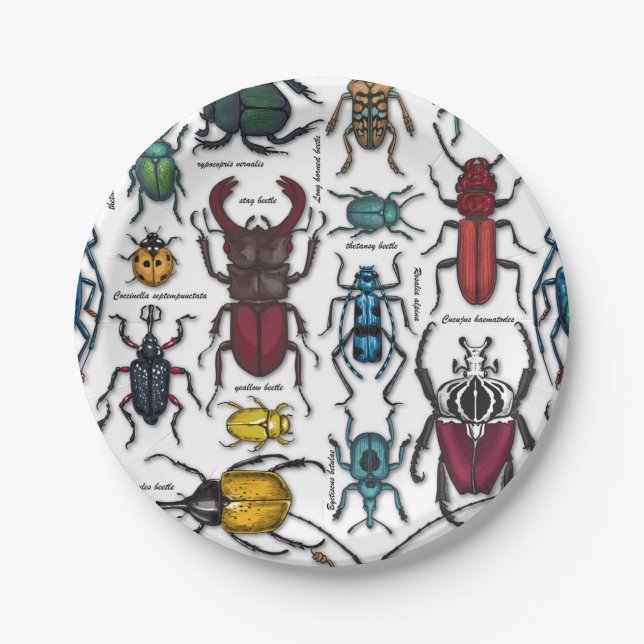 Assiettes En Carton Beetons sur blanc (Devant)