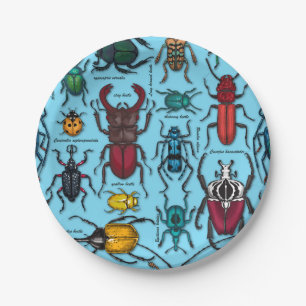 Assiettes En Carton Beetons sur bleu
