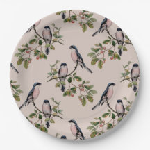 Belle copie vintage d'oiseaux
