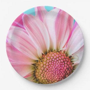 Assiettes En Carton Belle Fleur rose Gros plan Photo