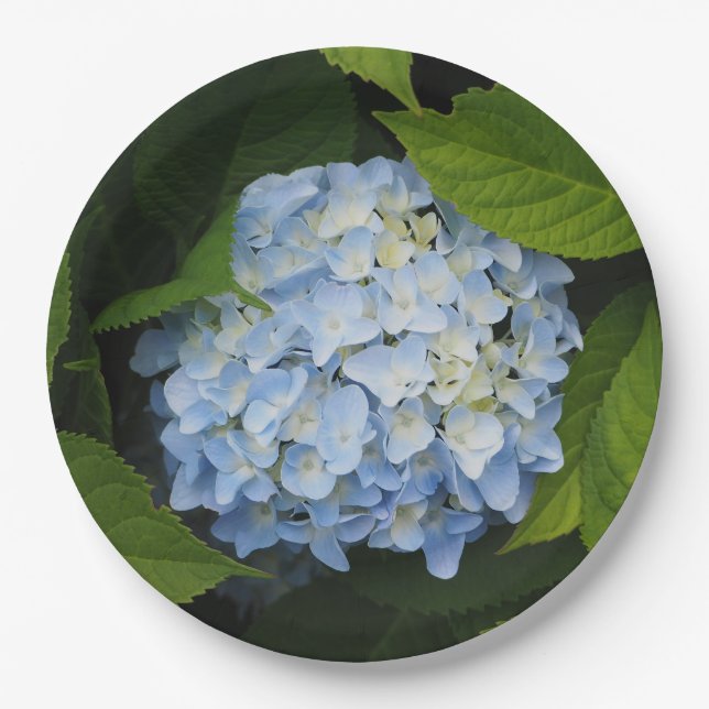 Assiettes En Carton Belle Hydrangée Bleue Photo Florale (Devant)
