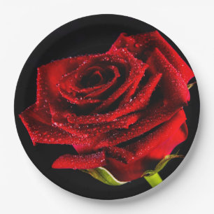 Assiettes En Carton Belle rose rouge