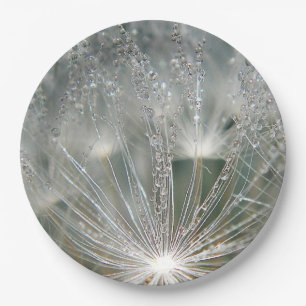 Assiettes En Carton Belles gouttelettes d'eau