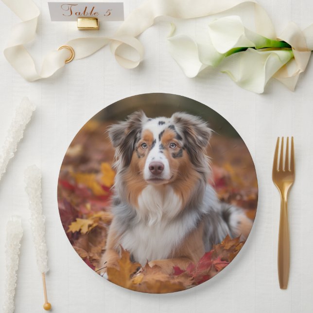 Assiettes En Carton Berger australien en automne Leaves automne Inspir (Mariage)