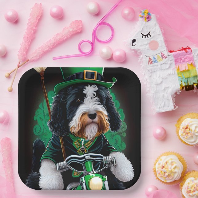 Assiettes En Carton Bernedoodle Chien conduisant vélo St. Patrick's Da (Fête)