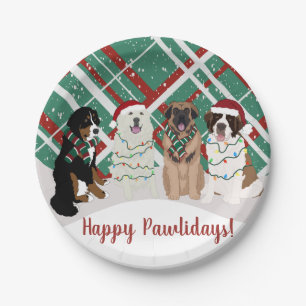 Assiettes En Carton Bernese Leonberger Pyrenees St Bernard Noël