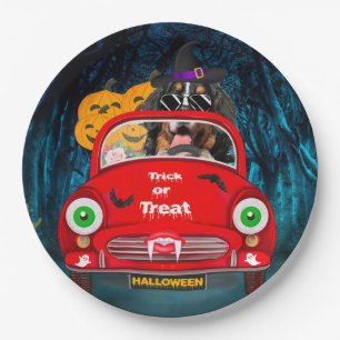 Assiettes En Carton Bernois Mountain Dog voiture voiture effrayant Hal