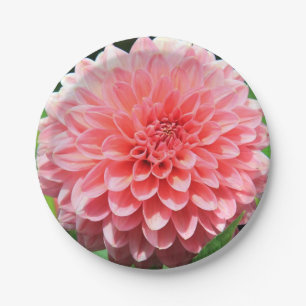 Assiettes En Carton Bienvenue au printemps avec Dahlia rose géant