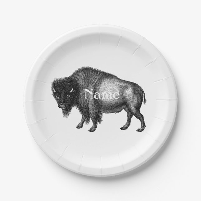 Assiettes En Carton Big Bison Buffalo Thunder-Cove (Devant)