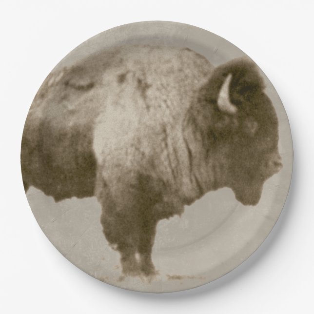 Assiettes En Carton Bison américain (Devant)