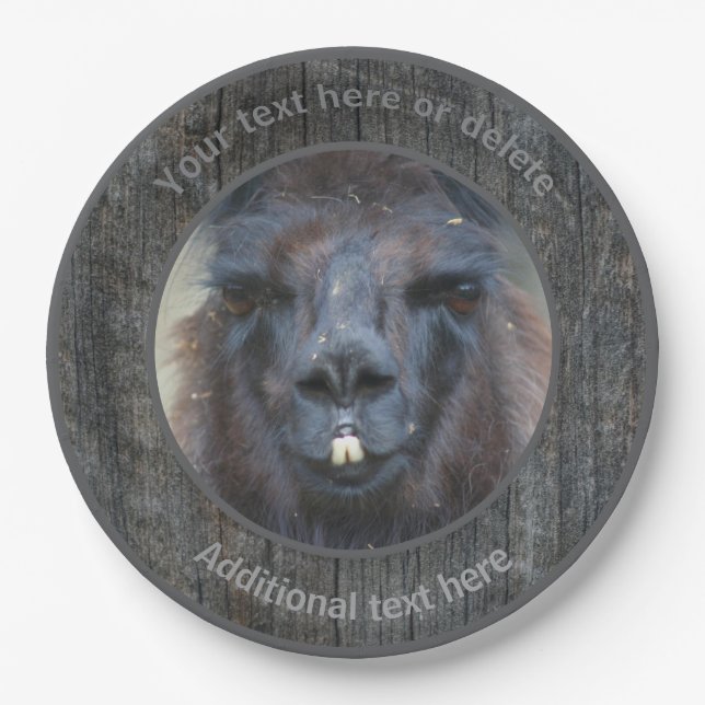 Assiettes En Carton Black Llama Visage ferme animal personnalisé (Devant)