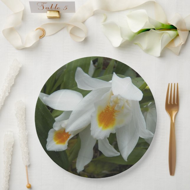 Assiettes En Carton Blanc Coelogyne Mooreana Orchidées Floral (Mariage)