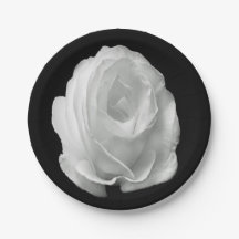blanc-rose-sur-le-noir-arrière - plan