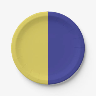Assiettes En Carton Bleu Et Jaune