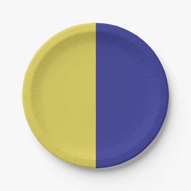 Assiettes En Carton Bleu Et Jaune (Devant)