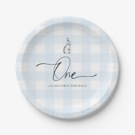 Assiettes En Carton Blue En vichy Lapin Lapin Premier Anniversaire
