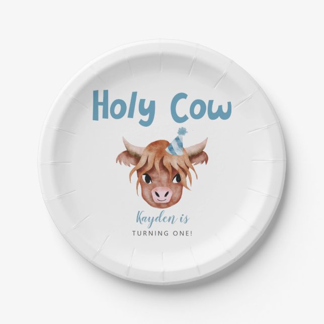 Assiettes En Carton Blue Highland Cow Boy's Birthday Party (Devant)