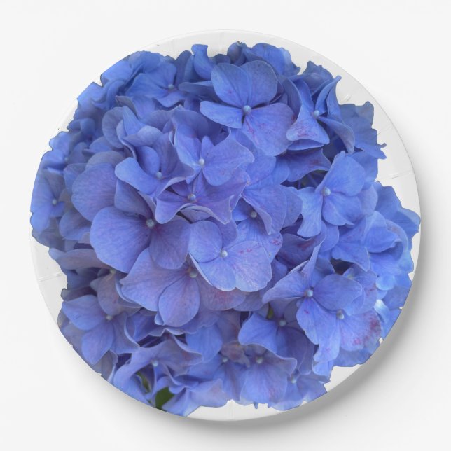 Assiettes En Carton Blue periwinkel élégantes hydrangées florales (Devant)