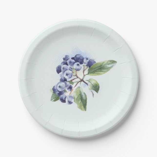 Assiettes En Carton Blueberge (Devant)