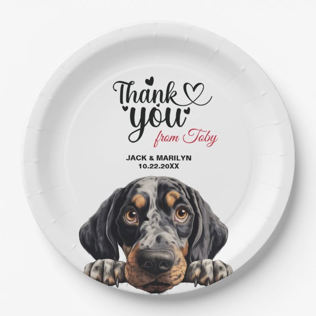 Assiettes En Carton Bluetick Coonhound (Devant)