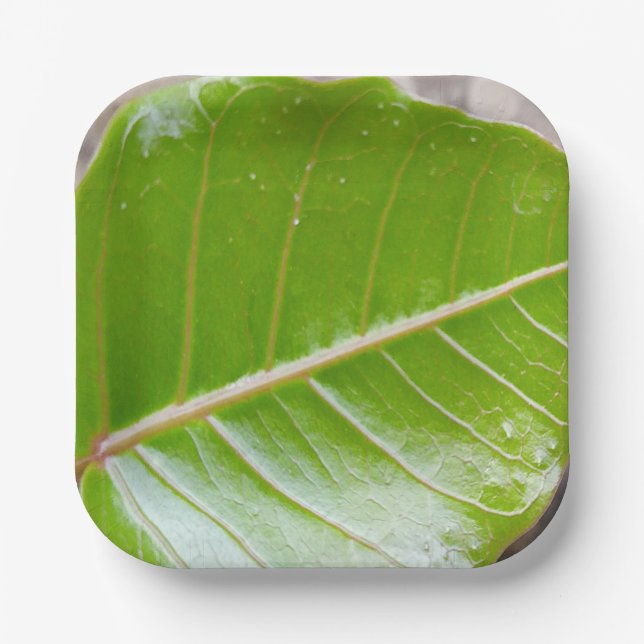 Assiettes En Carton Bol Carré papier avec conception feuille (Recto)