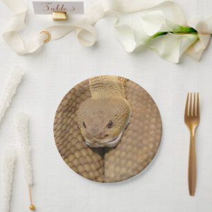 Assiettes En Carton Bonne fête de serpent d'anniversaire Plaques