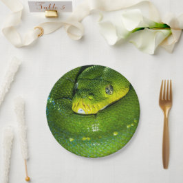 Assiettes En Carton Bonne fête de serpent d'anniversaire Plaques