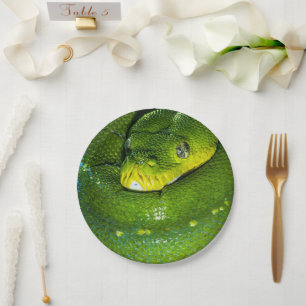 Assiettes En Carton Bonne fête de serpent d'anniversaire Plaques
