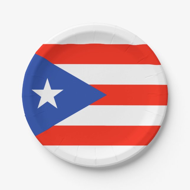 Assiettes En Carton Boricua Fiesta Puerto Rican Bandera 4Teresa (Devant)