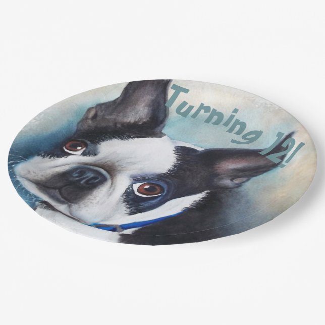 Assiettes En Carton Boston Terrier Turning 12 PARTY (Angle)