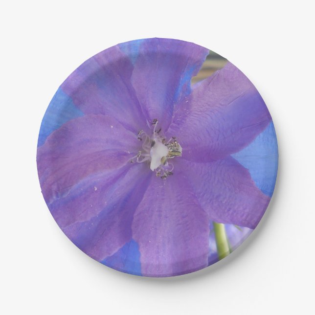 Assiettes En Carton Bowen (Devant)