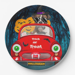Assiettes En Carton Boxer Chien Conduite Voiture Effrayant Halloween