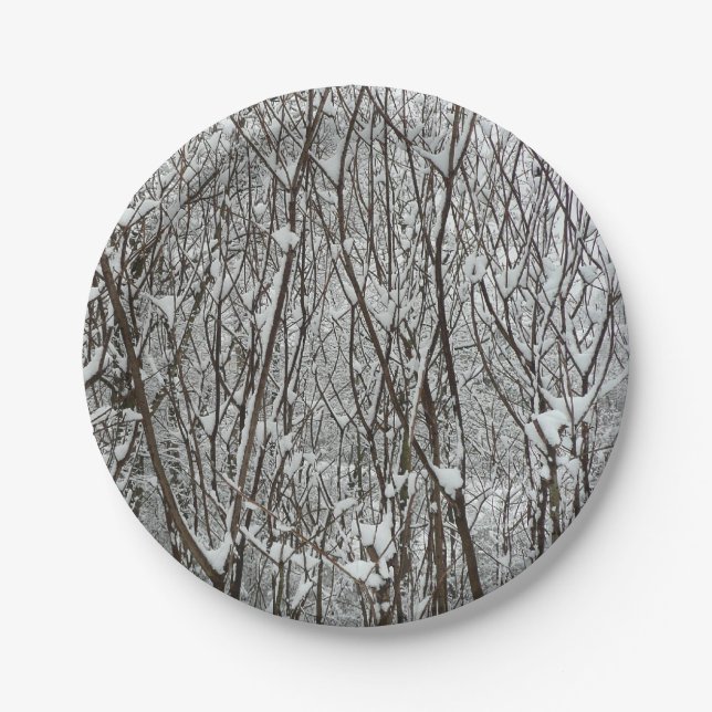 Assiettes En Carton Branches couvertes de neige Abstraite hivernale (Devant)