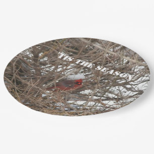 Assiettes En Carton Branches de neige cardinales rouges