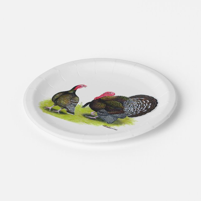 Assiettes En Carton Bronze large de Turquie (Angle)