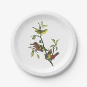 Assiettes En Carton Bunting peint par Audubon