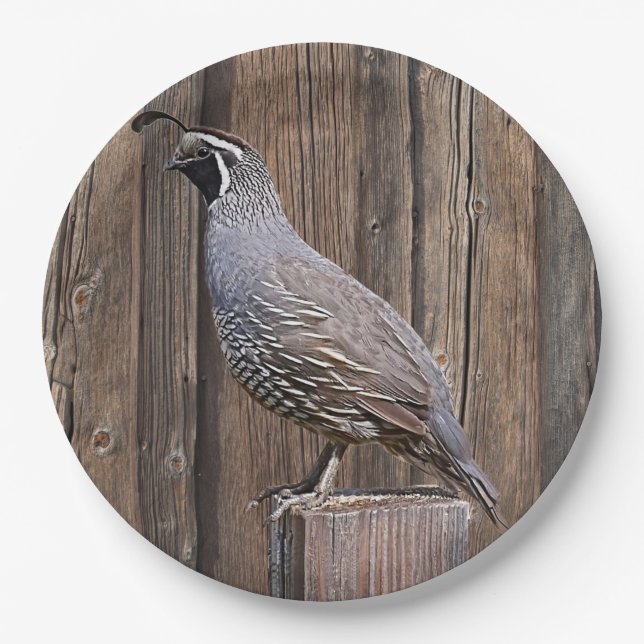 ASSIETTES EN CARTON CALIFORNIA QUAIL À BARNBOARD (Devant)