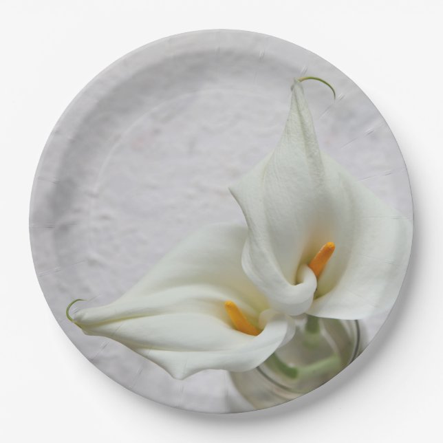 Assiettes En Carton Calla ment sur arrière - plan texturé (Devant)