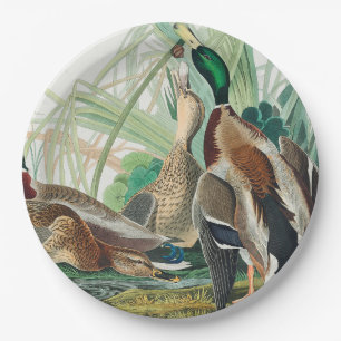 Assiettes En Carton Canard colvert des oiseaux d'Amérique (Audubon)