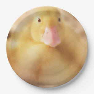 Assiettes En Carton Canard Jaune Fuzzy Bébé de Pâques Canard