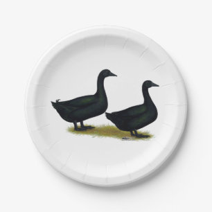 Assiettes En Carton Canards : Cayugas noirs