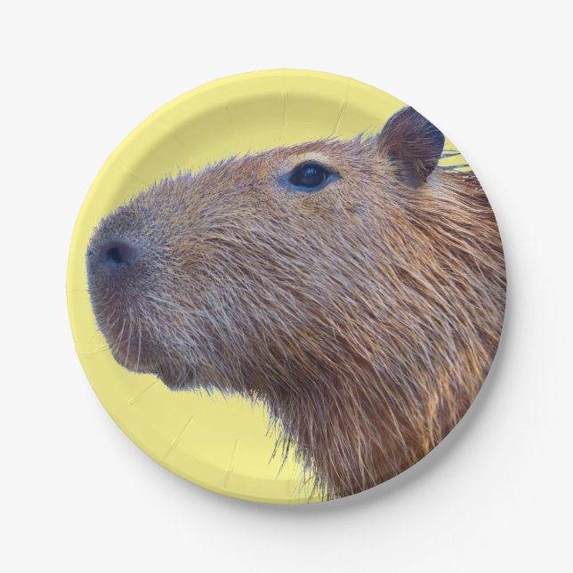 Assiettes En Carton Capybara (Devant)