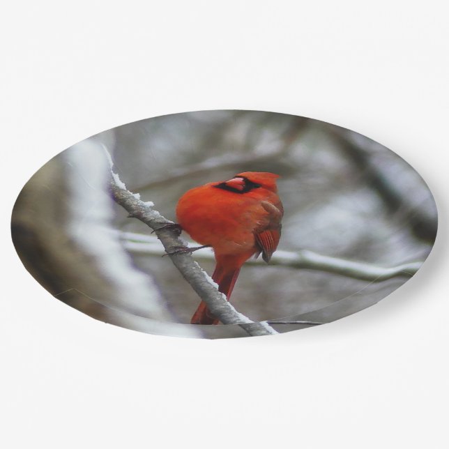Assiettes En Carton Cardinal masculin (Angle)
